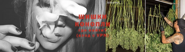 гидропоника Белоозёрский