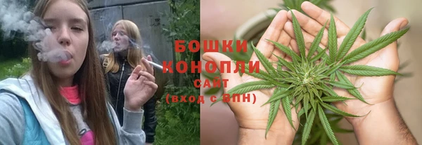 гидропоника Белоозёрский