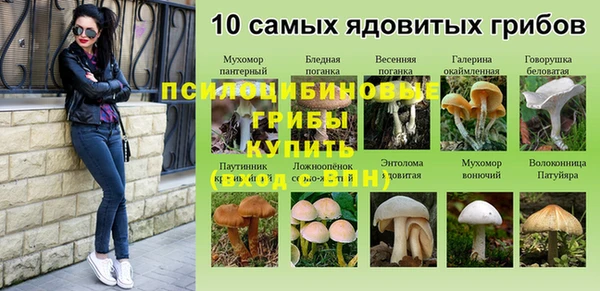 ешки Беломорск