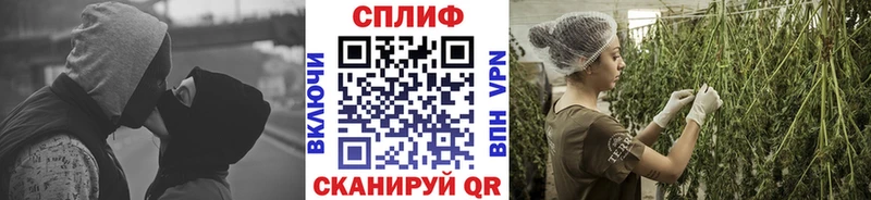 Конопля Ganja  мега зеркало  Черноголовка  цена наркотик 